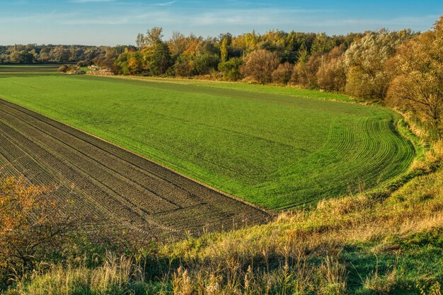 写真 空の背景にある農地の景色