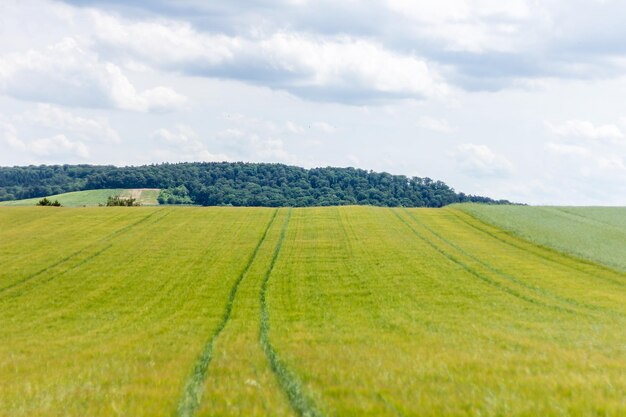 写真 空の背景にある農地の景色