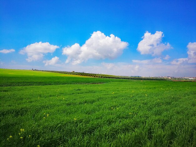 写真 空の背景にある農地の景色