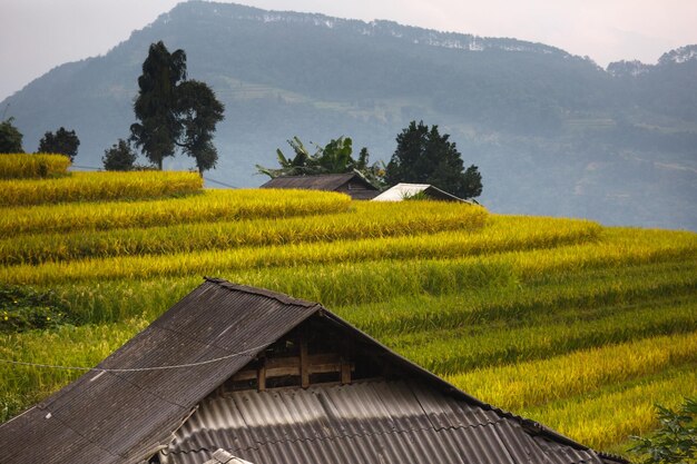 写真 空に照らされた農地の景色