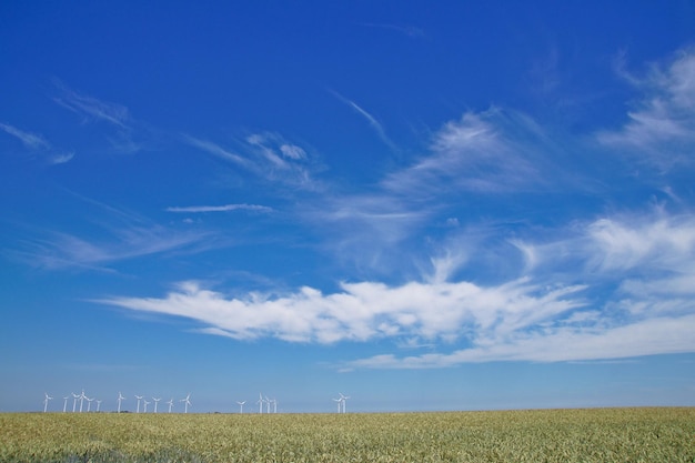 写真 空の背景にある農地の景色