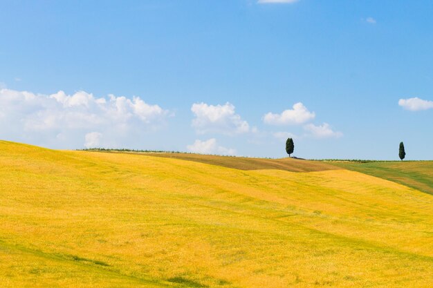 写真 空の背景にある農地の景色