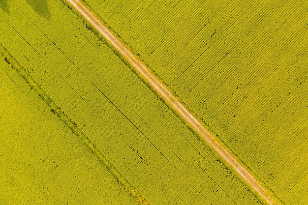 Фото Красивый вид на сельскохозяйственное поле