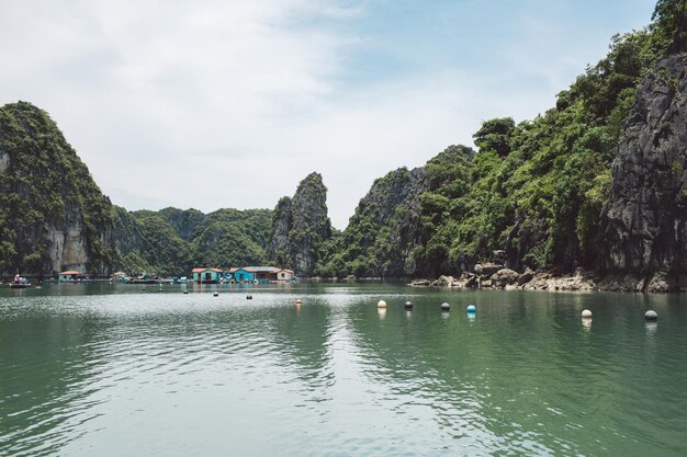 写真 空に照らされた湾の景色