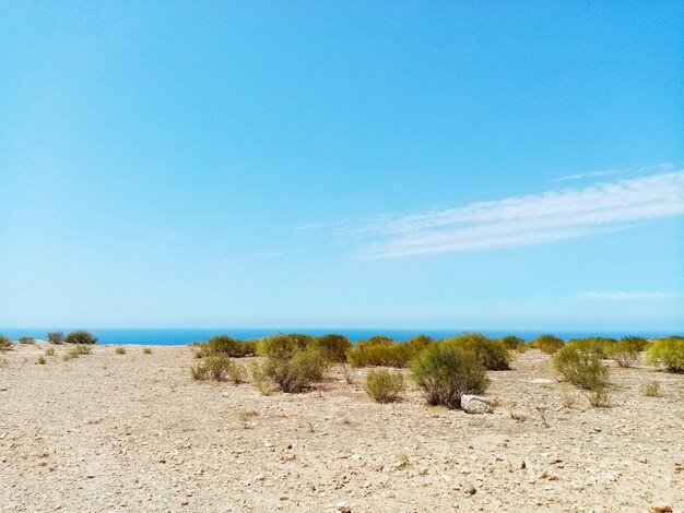 写真 青い空を背景にしたビーチの景色