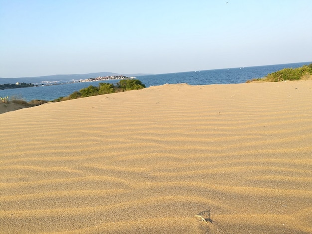 사진 푸른 하늘 을 배경 으로 해변 의 풍경