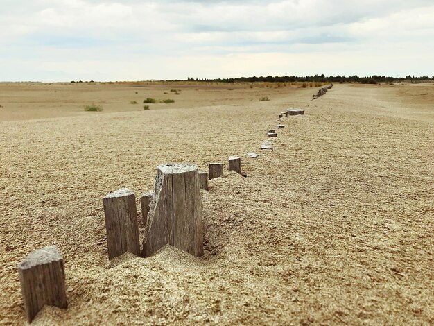 Фото Красивый вид на пляж на фоне неба