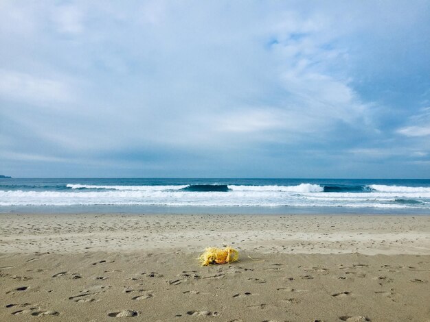 写真 空に照らされたビーチの景色