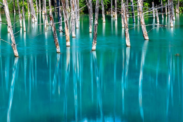 写真 青い水の景色