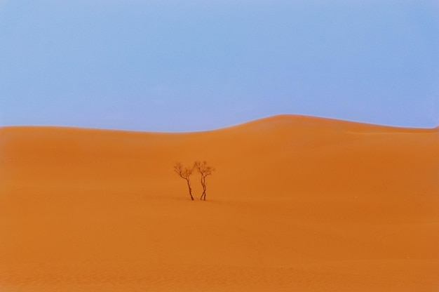사진 은 하늘 을 배경 으로 사막 의 풍경