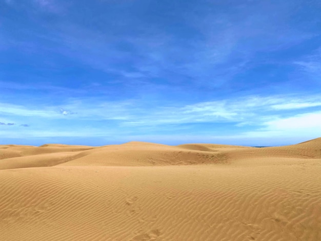 Фото Красивый вид на пустыню на фоне неба