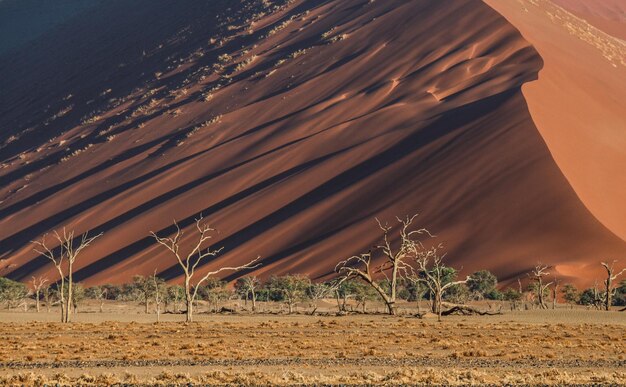 Фото Вид на пустыню на фоне неба