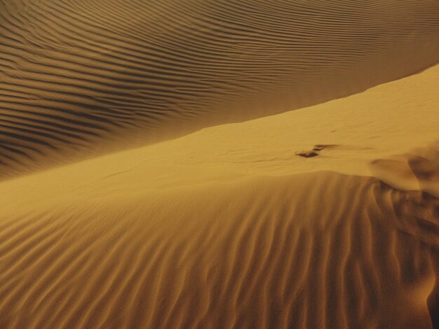 Фото Красивый вид на пустыню
