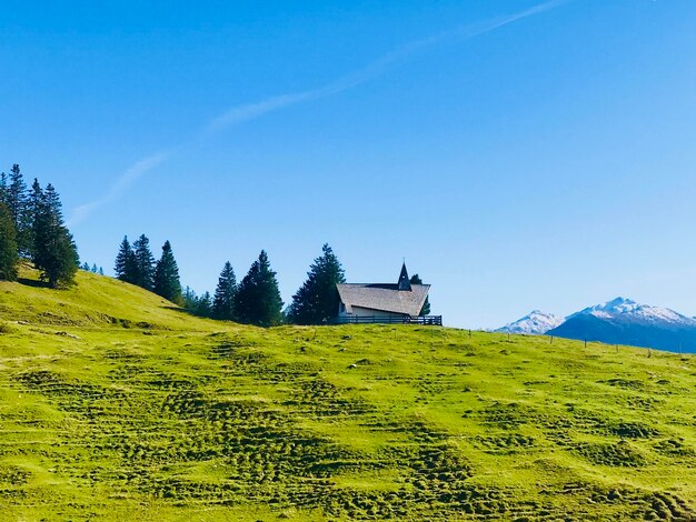 写真 晴れた空を背景に野原の景色