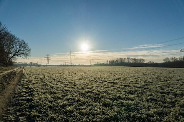 写真 晴れた空を背景に野原の景色