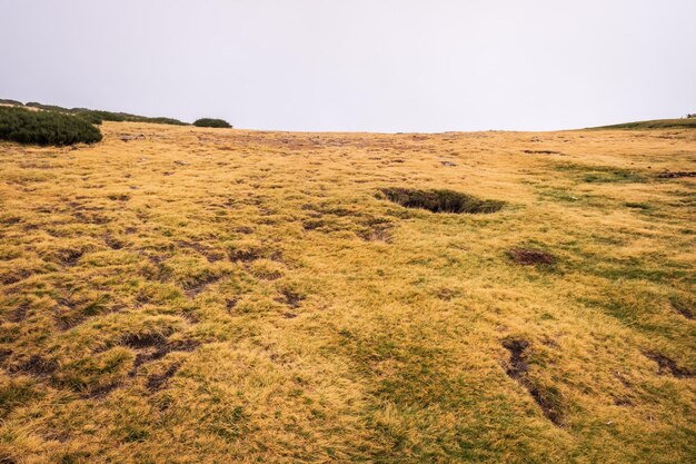 写真 晴れた空を背景に野原の景色