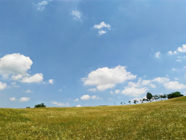 Фото Вид на поле на фоне облачного неба