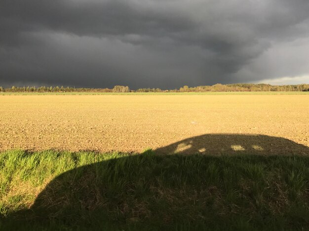 Фото Красивый вид на поле на фоне облачного неба