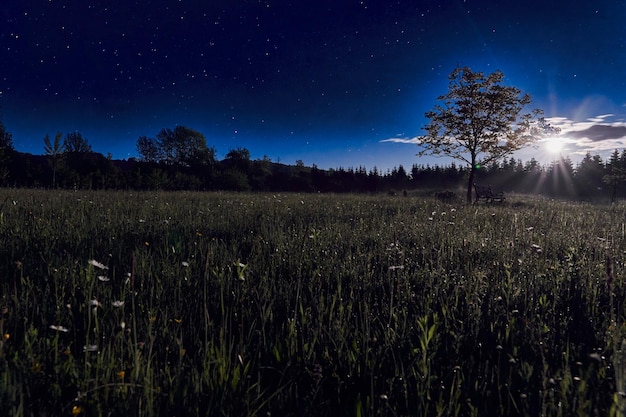 Фото Пейзажный вид на поле на фоне ночного неба