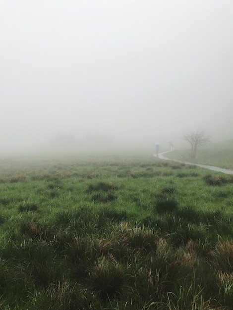 写真 霧の天候で空を背景に畑の景色
