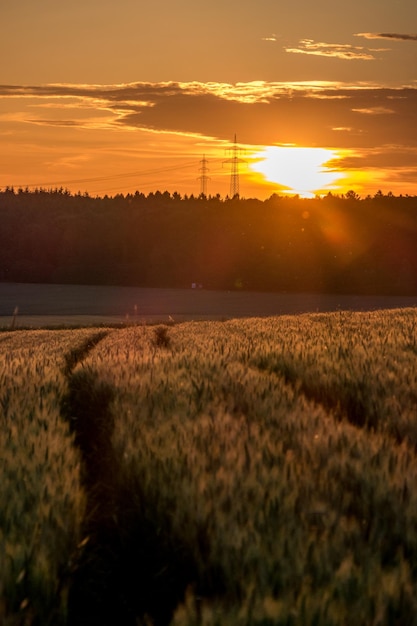 Фото Пейзажный вид на поле на фоне неба во время захода солнца