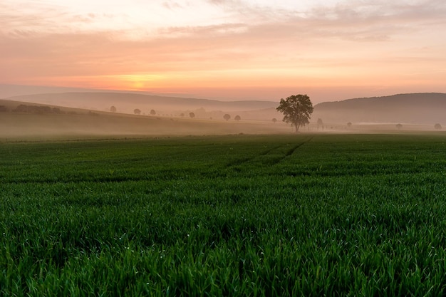 写真 夕暮れの空を背景にした田舎の景色