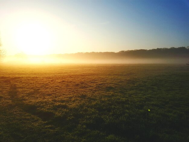 写真 夕暮れの空を背景にした田舎の景色