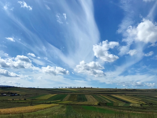 写真 天空を背景にフィールドの景色