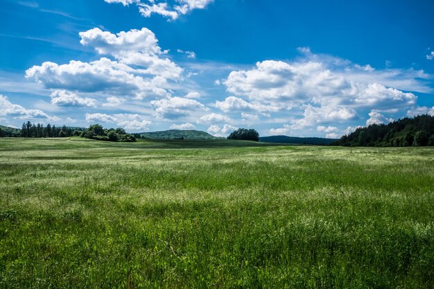 写真 天空を背景にフィールドの景色