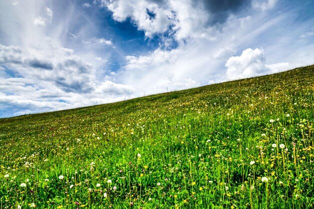 写真 天空を背景にフィールドの景色