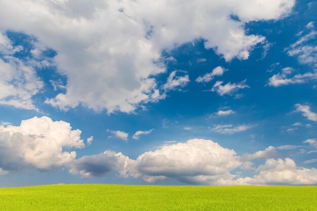 写真 天空を背景にフィールドの景色