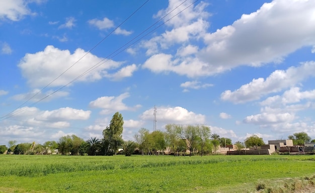 写真 天空を背景にフィールドの景色