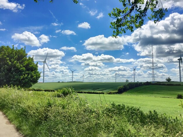 写真 天空を背景にフィールドの景色