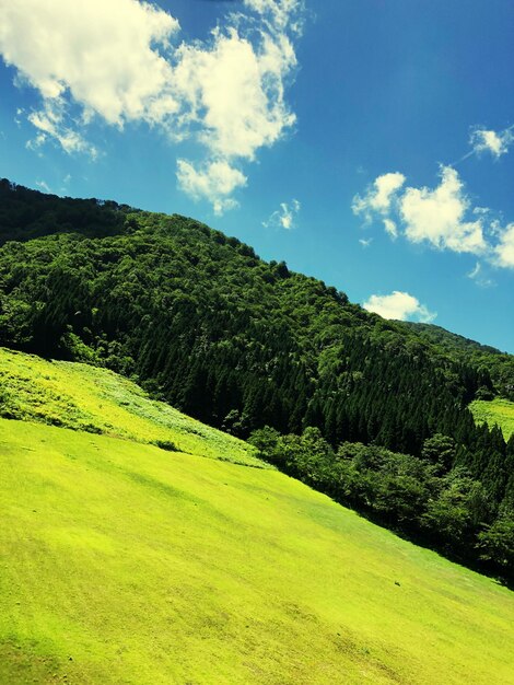 写真 天空を背景にフィールドの景色