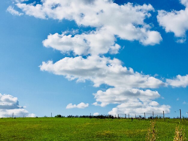 写真 天空を背景にフィールドの景色