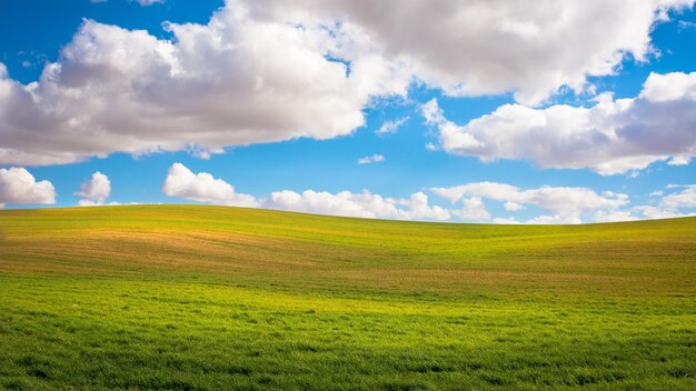 写真 天空を背景にフィールドの景色