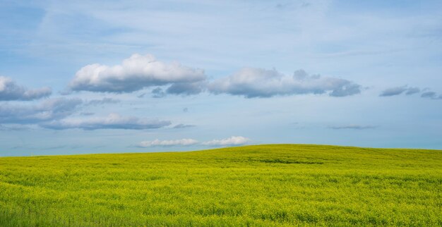 写真 空に照らされた野原の景色