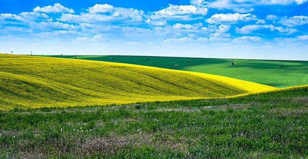 Фото Пейзажный вид на поле на фоне неба