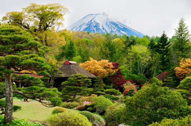 写真 空を背景に花をかせた植物や木の景色