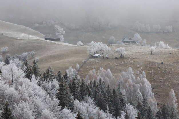 写真 霧の山々 の 景色