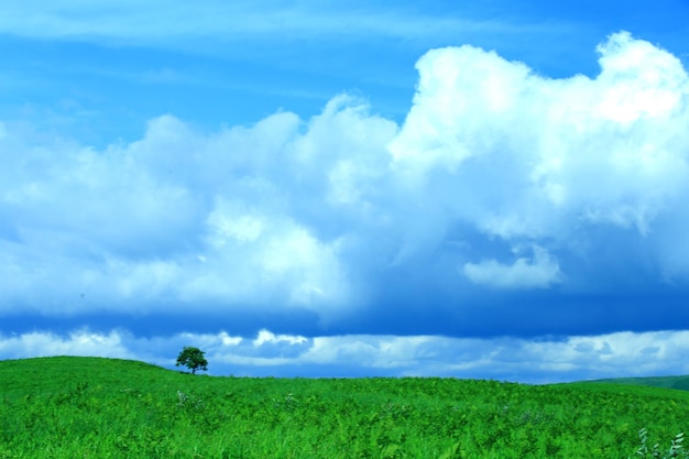 写真 雲の空を背景にした草原の景色