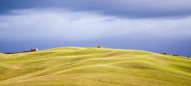 写真 空を背景にした草原の景色