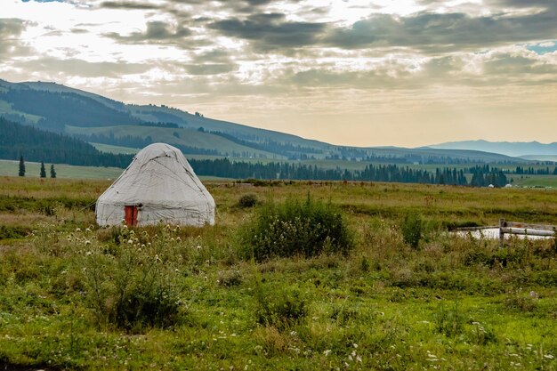 Фото Красивый вид на травяное поле