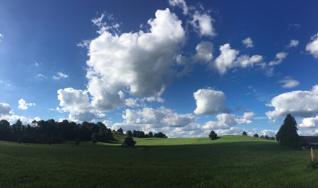 写真 青い空を背景にした草原の景色