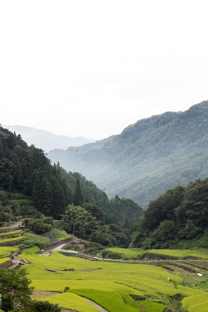 写真 晴れた空を背景に緑の景色の景色