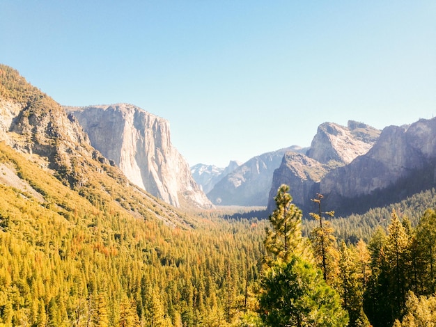 写真 晴れた空の背景にある岩石の山々の中の緑の風景の景色