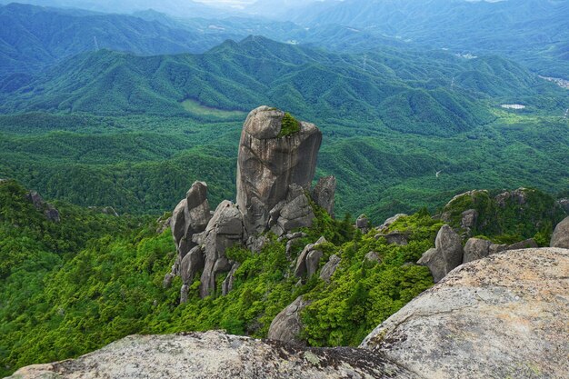 写真 緑 の 山 の 景色