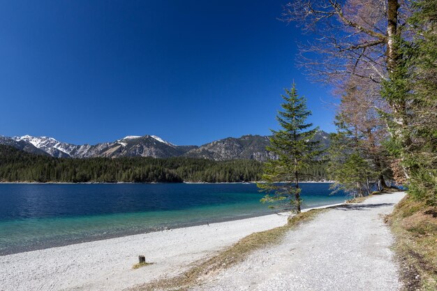 写真 澄んだ青い空に照らされた湖の景色