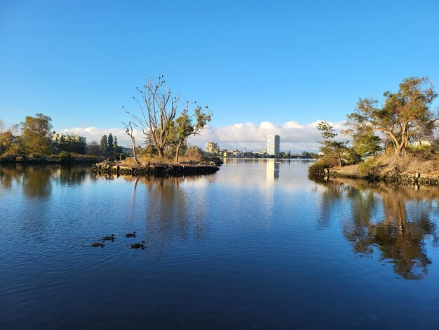 写真 澄んだ青い空に照らされた湖の景色