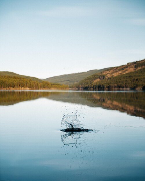 写真 晴れた空に照らされた湖の景色